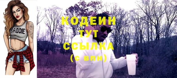 первитин Вяземский