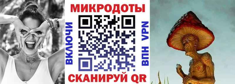 Псилоцибиновые грибы GOLDEN TEACHER  как найти закладки  Гвардейск 